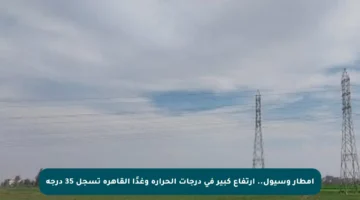 أمطار وسيول.. ارتفاع كبير في درجات الحرارة وغدًا القاهرة تسجل 35 درجة